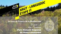 Étape 11 : Parc naturel régional du Haut-Languedoc