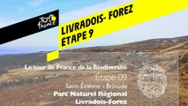 Étape 9 : Parc naturel régional Livradois-Forez