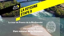 Étape 8 : Parc naturel de la Feyssine