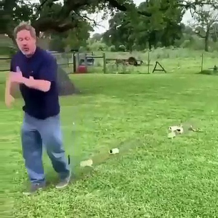 Regardez cet homme qui fait une bonne balade avec ses chatons !