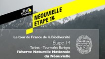 Étape 14  : Réserve naturelle nationale de Néouvielle