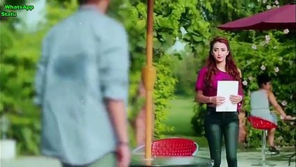 Dil Ne Tumko Chun Liya Hai Shaan Suno Na Jhankar Beats Unplugged WhatsApp Status Video