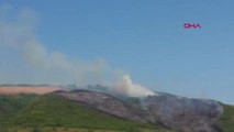 ÇANAKKALE Gelibolu'da orman yangını
