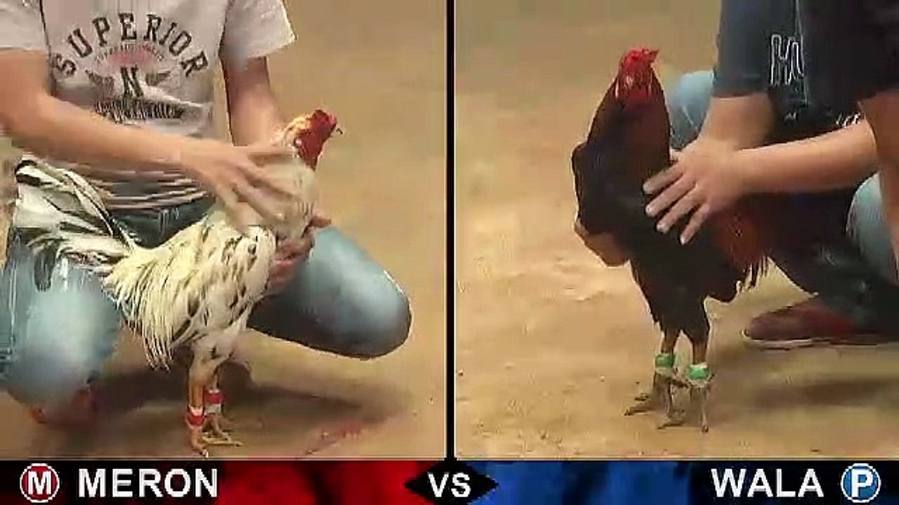 Trận 4