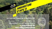 Étape 21 : L’Arboretum de Versailles-Chèvreloup