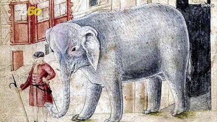Noisy Neighbor Was Keeping an Elephant in His Apartment, According to Newly Unearthed Letter