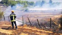 Saint-Nizier-sous-Charlieu: près  de 10 hectares de prés prennent feu