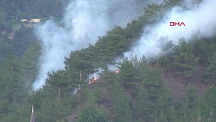 Tokat'ta orman yangınında 30 dekarlık alan zarar gördü