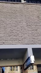 Anti-Nesting Spikes, Not Working