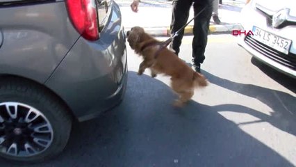 İSTANBUL- 15 TEMMUZ DEMOKRASİ OTOGARI'NDA DENETİM