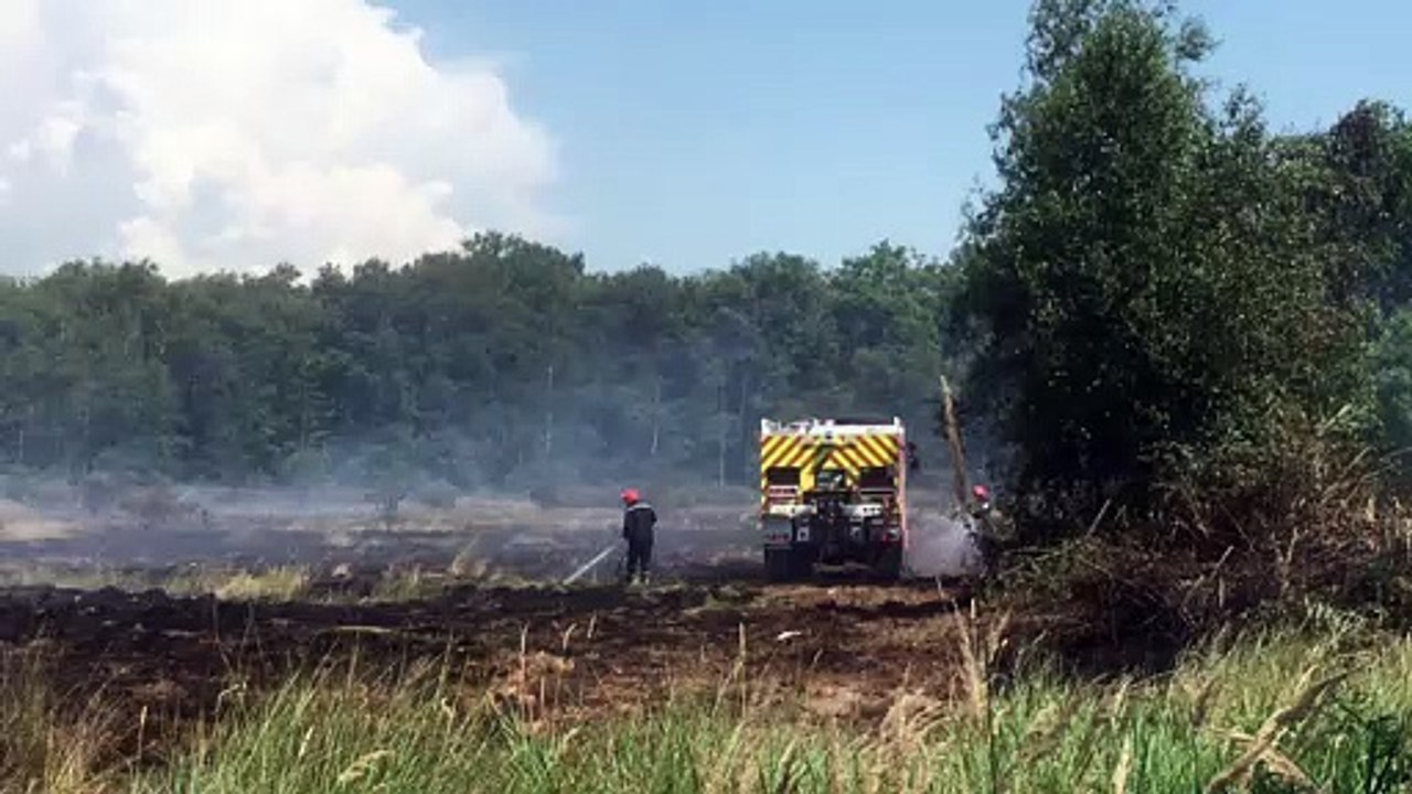 Un étang asséché prend feu à Saint-Jean-de-Thur...