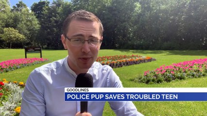 GOODLINES: 4th July 2019