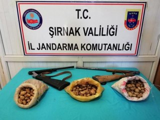 Sahlep soğanı toplayan 3 kişiye 204 bin TL para cezası verildi