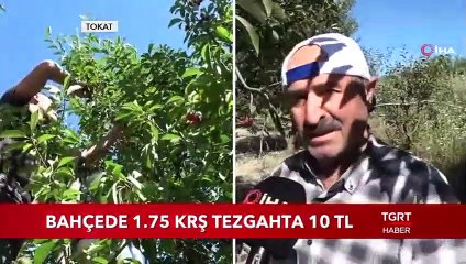 Bahçede 1,75 Krş Tezgahta 10 Tl