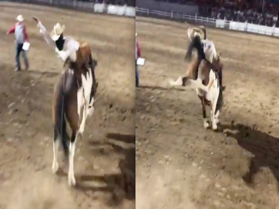 WILD RIDE! World's Oldest Rodeo in Prescott for Fourth of July - ABC15 Digital