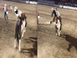 WILD RIDE! World's Oldest Rodeo in Prescott for Fourth of July - ABC15 Digital