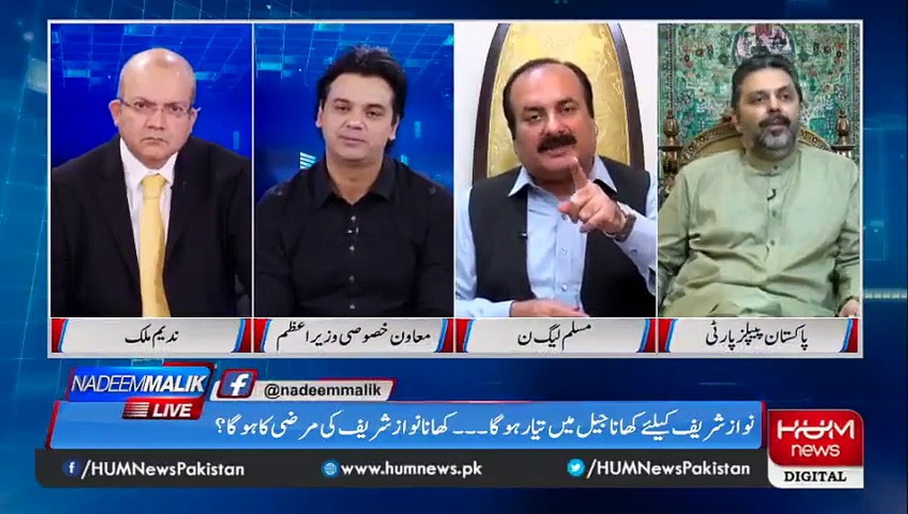 Preparing references against 41 PTI leaders: Rana Mashhood