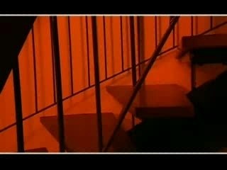 Koffi olomidé - destination