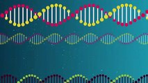 Understanding Autoimmune Disease | DNA | Gene Code - SYROS - Equisolve
