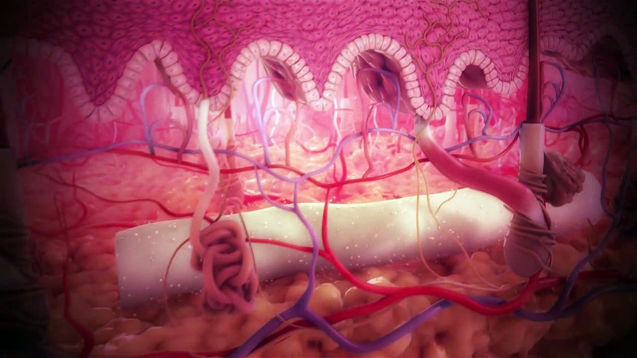 Medical Animations | Scientific Animations | Scientific Illistrations - Equisolve