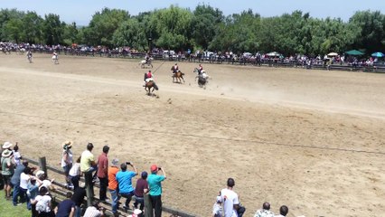 Picaria em Benavente 2019