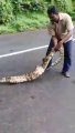 Ce serpent avait très faim... Regardez ce qu'il a avalé