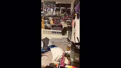 Relocating Baby Raccoons