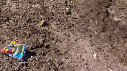 Frogs Fleeing