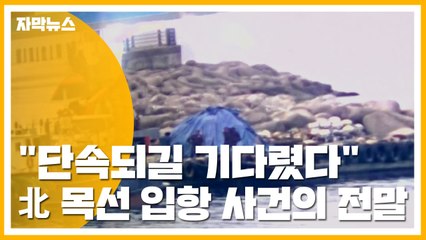 [자막뉴스] "단속되길 기다렸다" 북한 목선 입항 사건의 전말 / YTN