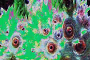 MVGEN: Together :  Together