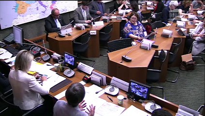 Commission du développement durable : Auditions diverses - Mercredi 3 juillet 2019