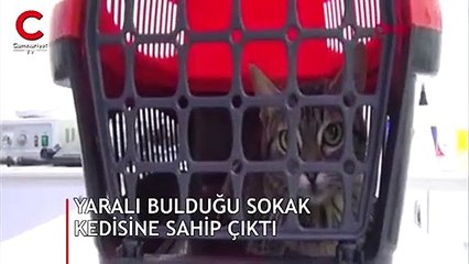 Yaralı bulduğu sokak kedisine sahip çıktı