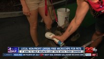 Pet Matchmaker offers free microchips for pets