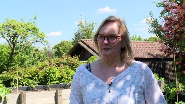 Immobilienentwickler nehmen Kleingärten ins Visier