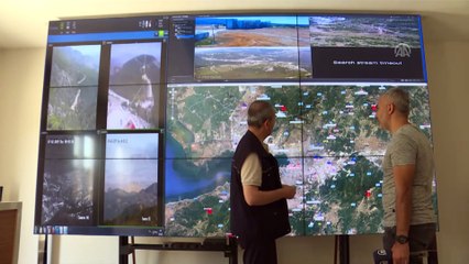 Ormanları tehdit eden 'küçük' tehlike - İZMİR