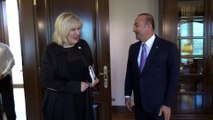 Çavuşoğlu, Avrupa Konseyi İnsan Hakları Komiseri Mijatovic ile görüştü - ANKARA