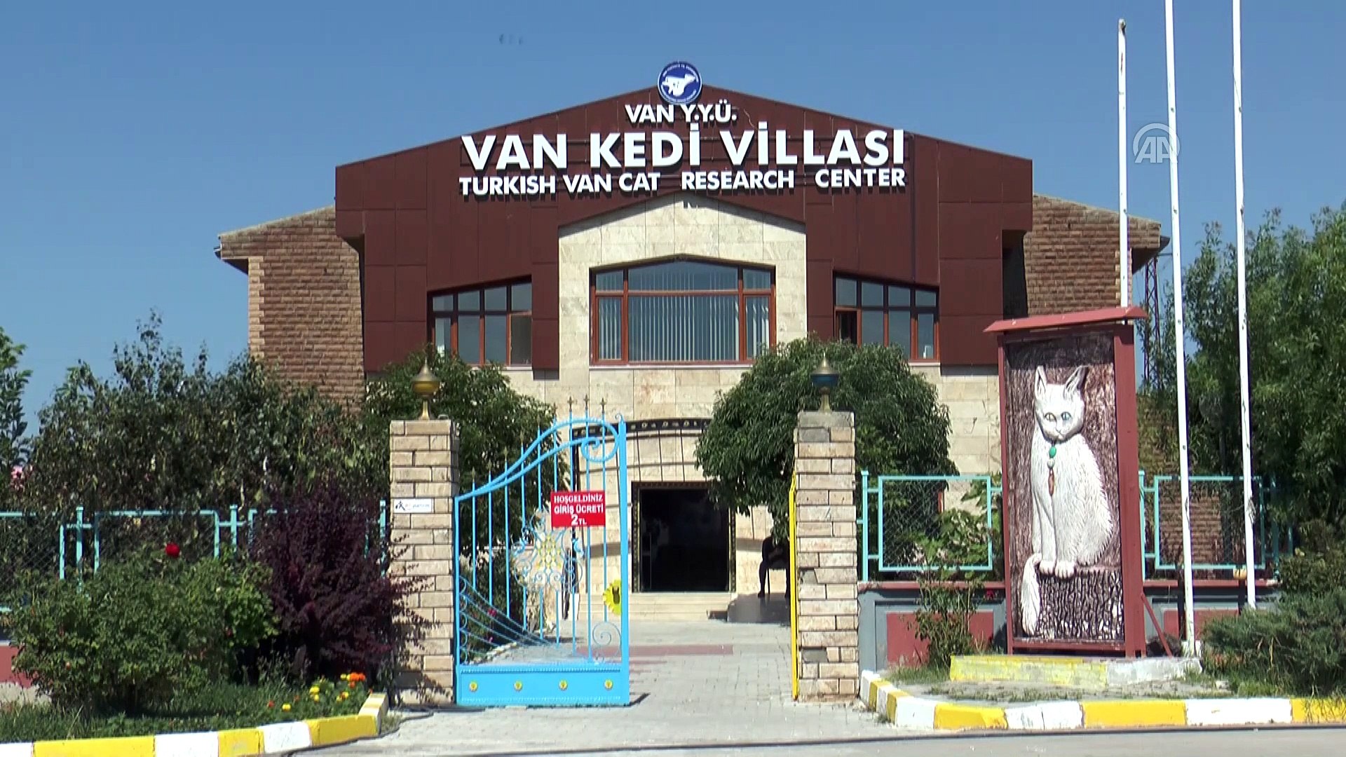 ⁣Van kedileri sağır değilmiş - VAN