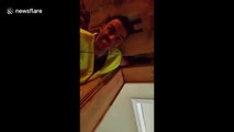 Ireland workman has hilarious reaction after colleagues play fake tarantula prank on him