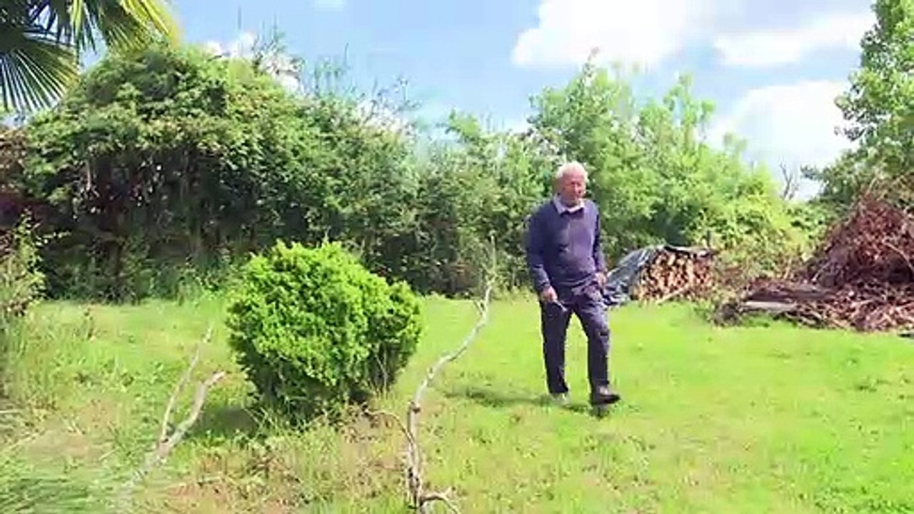 Sind krähende Hähne Kulturerbe?