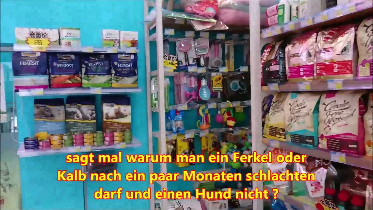 China Juni 2019 #Vlog2 Hund und Katz im Beauty SPA
