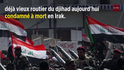 Les épouses de djihadistes français interpellées à leur retour de Syrie