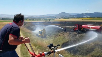 Buğday tarlasında yangın - AMASYA