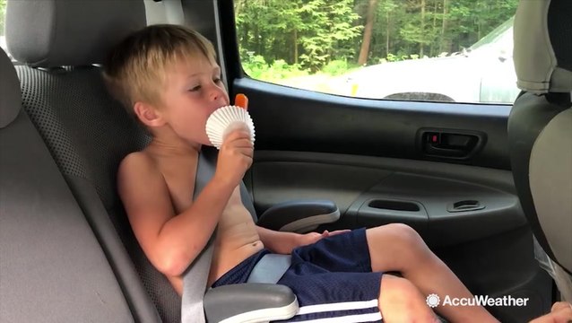 Top tips for summer road trips with kids