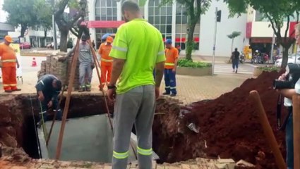 Lixeiras de R$ 85 mil: Vereador apresenta denúncia à Delegacia de combate à corrupção