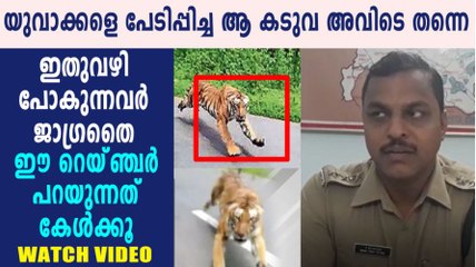 യുവാക്കളെ പേടിപ്പിച്ച ആ കടുവ അവിടെ തന്നെ