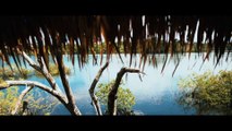 AMAZÔNIA   Viagem pela Floresta Amazônica, Brasil   4K Ultra HD[1]