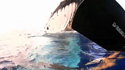 قصة حوت كبير ساكن في العماق