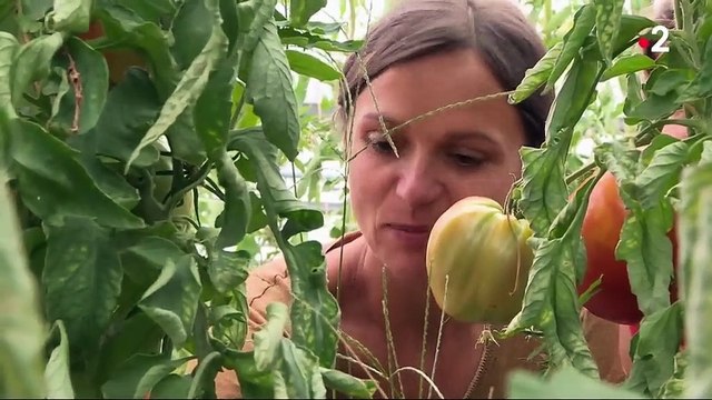 Alimentation : une start-up de producteurs bio valorise les produits locaux