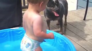 Baby and dog always have a happy...