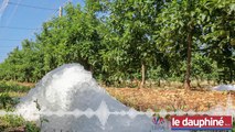 METEO « En 10 minutes de grêle, les agriculteurs drômois ont perdu 70 millions d’euros »